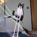 537px-LaserCats.jpg