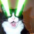 cat_lasers_eyes.jpg