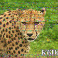 S1_20220603_015559.png