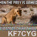 S1_20220709_021855.png