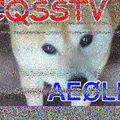 SDX_20220603_012718.png