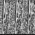 BW12_20220508_052648.png