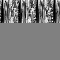 BW12_20220508_052732.png