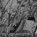 BW12_20220715_192736.png