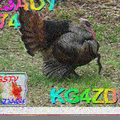 S1_20220513_210202.png