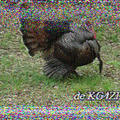 S1_20220513_211400.png