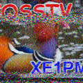 S2_20220623_055436.png