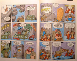 Monterey Jack and Zipper