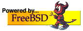 [This server is powered by FreeBSD 4.0]